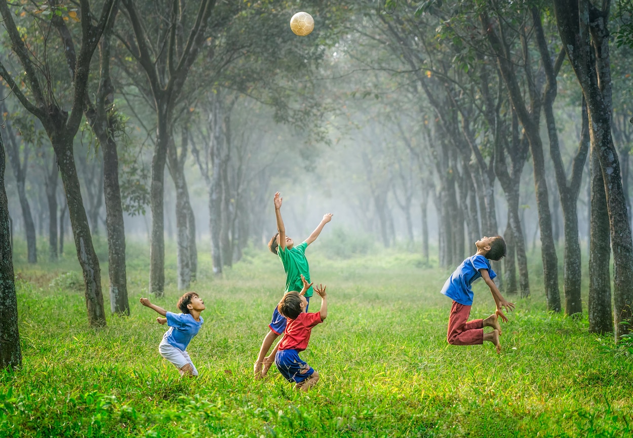 Capoeira Atividade Lúdica