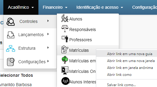 Sistema de Matrículas de Alunos em Lote