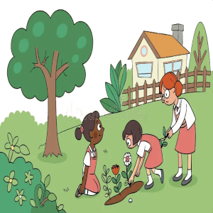 Como Integrar a natureza ao ambiente escolar
