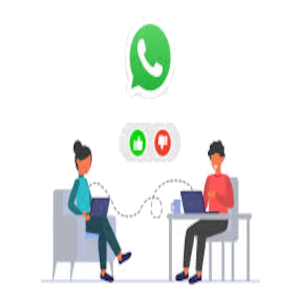 WhatsApp como Canal de Comunicação Escolar